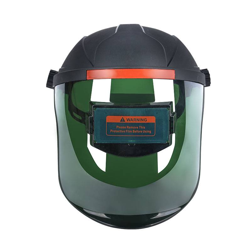 Face shield