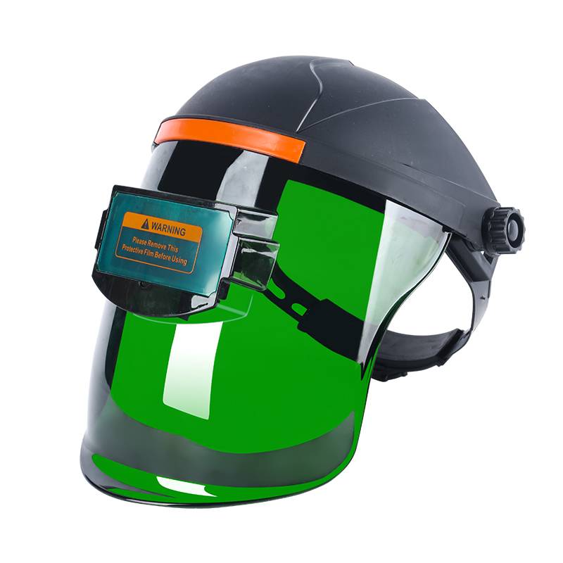 Face shield